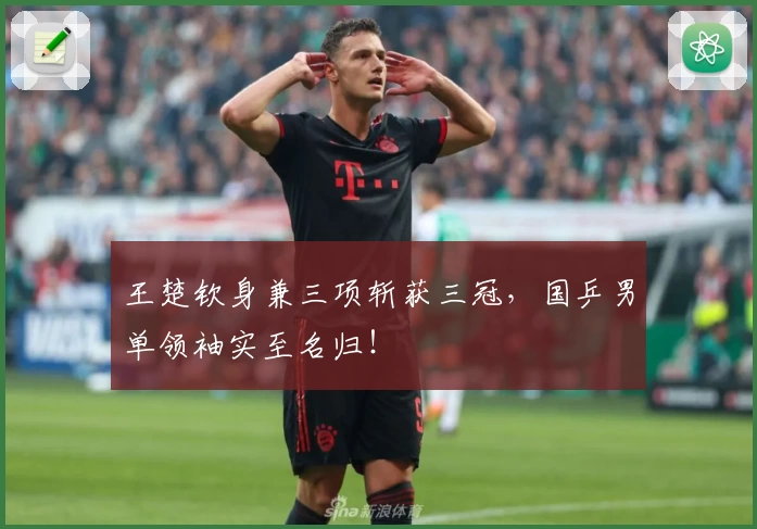 王楚钦身兼三项斩获三冠,国乒男单领袖实至名归!