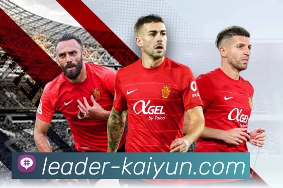 体育平台欢迎图